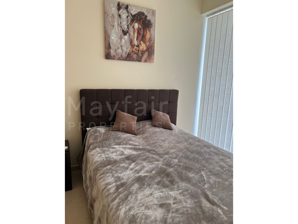 2 Bedroom Sea View Apartment in Town Centre Larnaca
