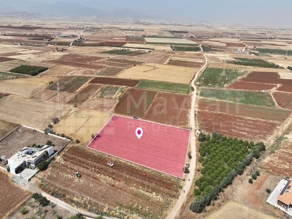 Residential field in Peristerona, Nicosia