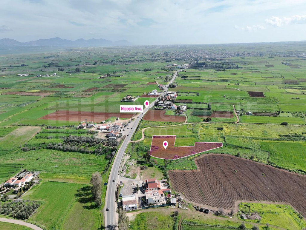 (Share) Agricultural field in Peristerona, Nicosia
