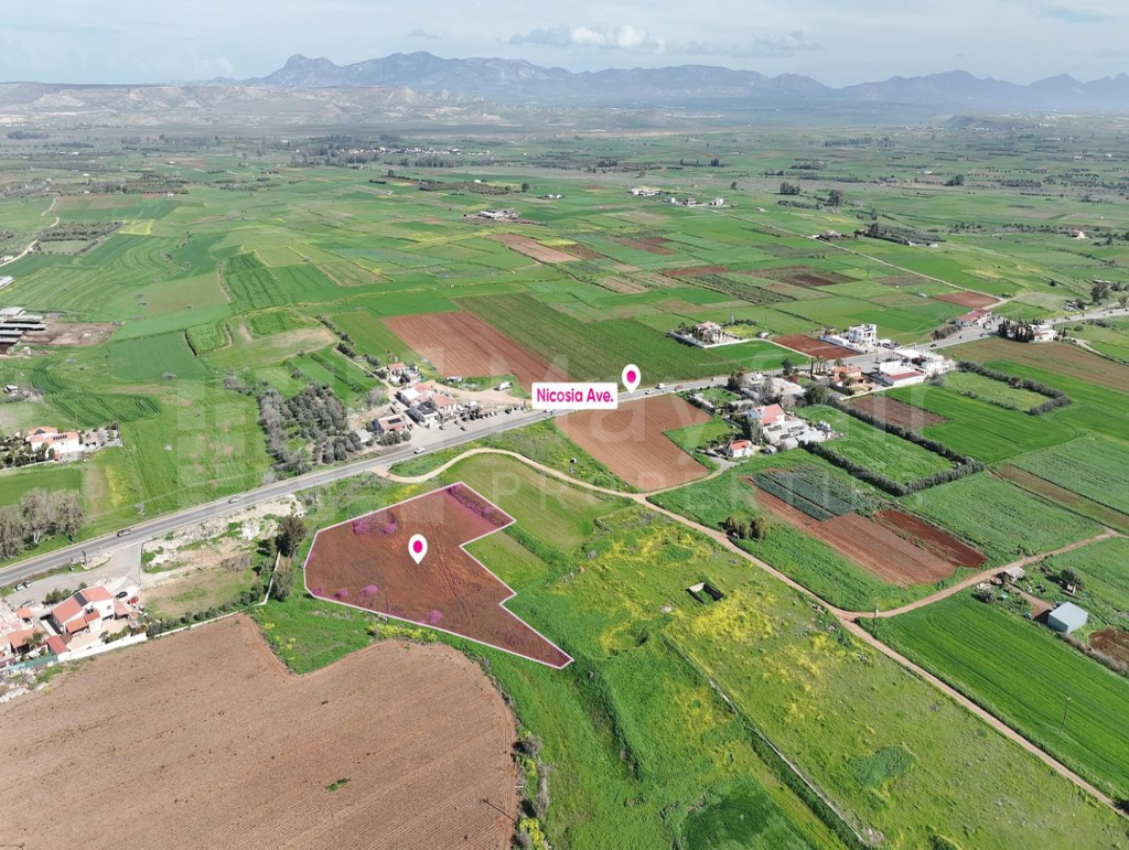 (Share) Agricultural field in Peristerona, Nicosia