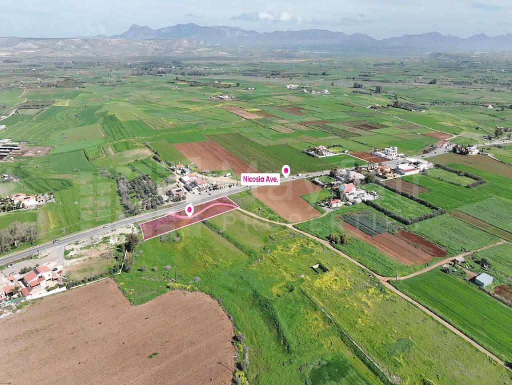 (Share) Agricultural field in Peristerona, Nicosia