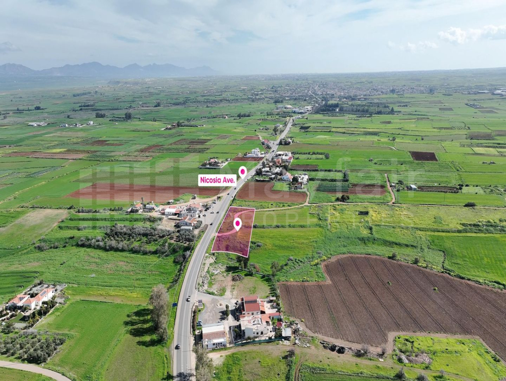 (Share) Agricultural field in Peristerona, Nicosia