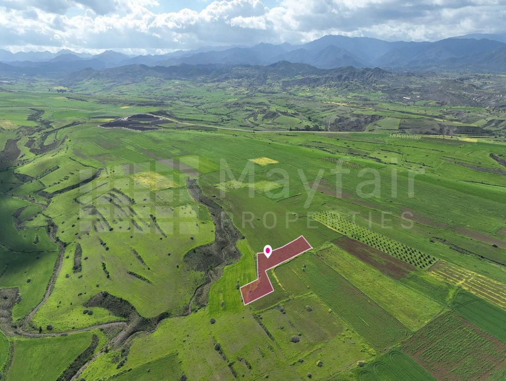 Animal Breeding field in Peristerona, Nicosia