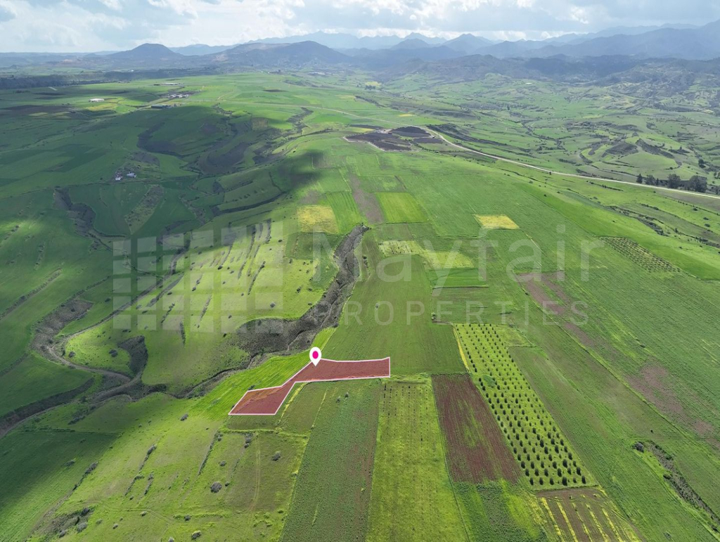 Animal Breeding field in Peristerona, Nicosia