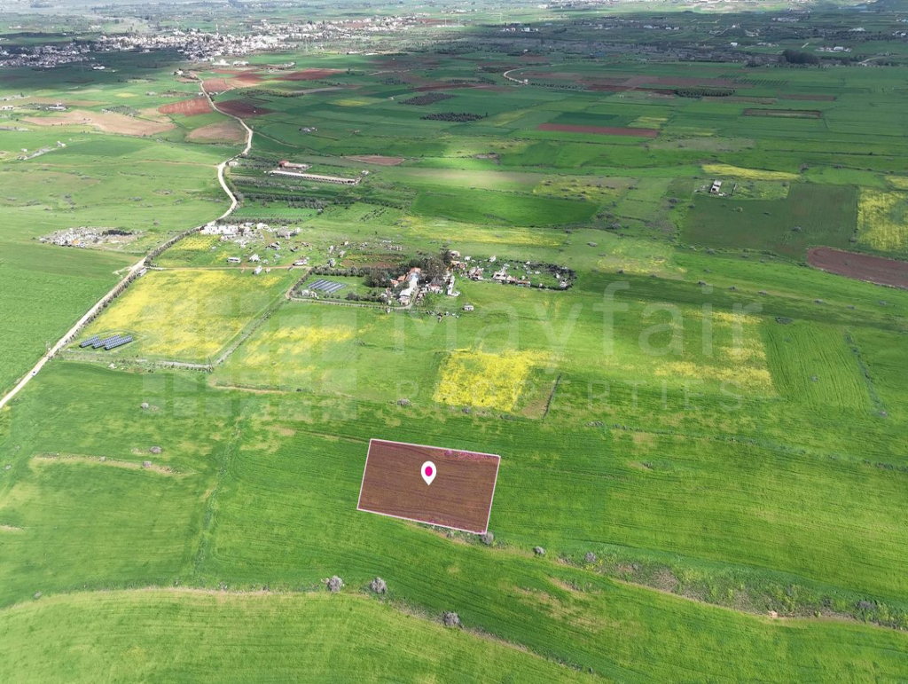 Animal Breeding field in Peristerona, Nicosia