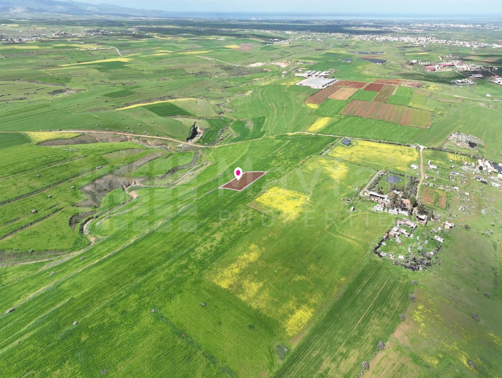 Animal Breeding field in Peristerona, Nicosia