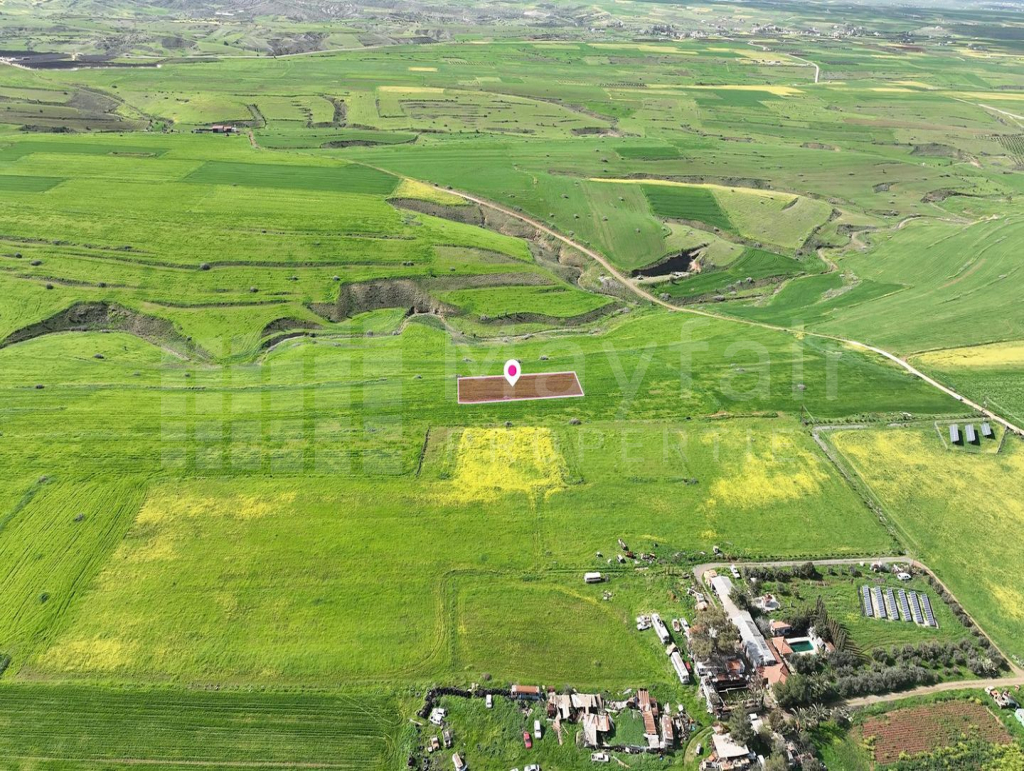 Animal Breeding field in Peristerona, Nicosia