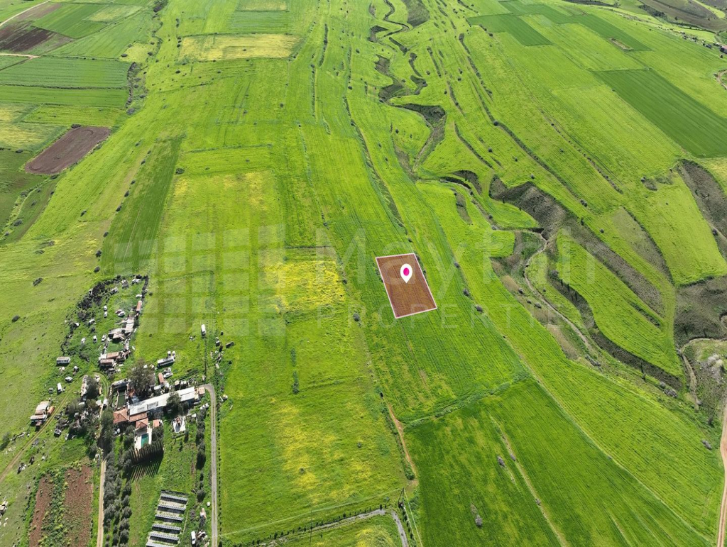 Animal Breeding field in Peristerona, Nicosia