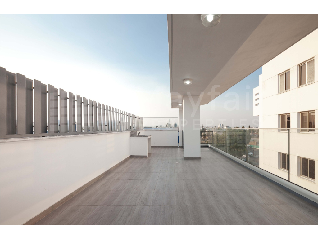 3 Bedroom Penthouse with Roof Garden for Rent in Chrysopolitissa