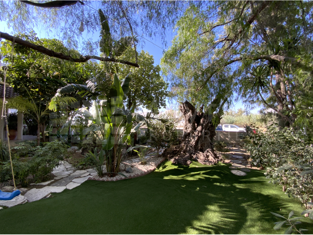 4 Bedroom Detached House for Sale in Livadia