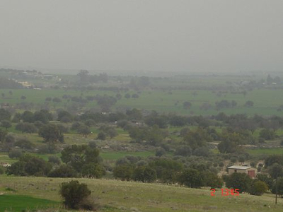 Land