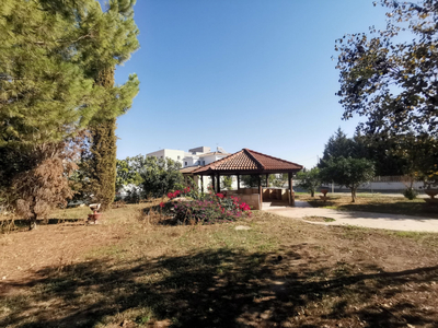 Three Bedroom House with an Attic in Dali, Nicosia in a large field