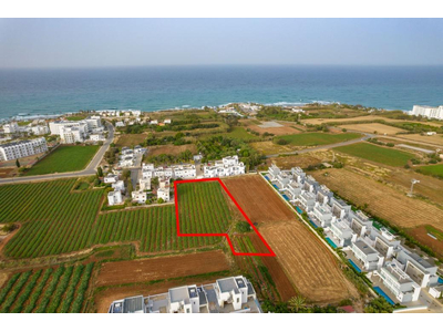 Shared field in Paralimni, Famagusta in Famagusta