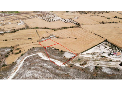Two fields in Analiontas, Nicosia in Nicosia