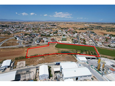 Shared field in Xylotymvou, Larnaca