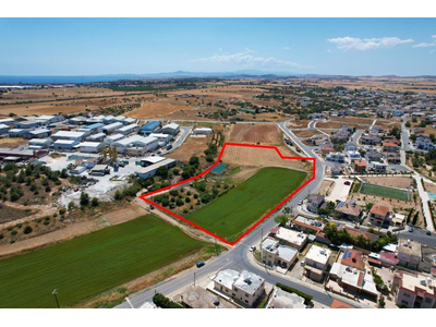 Shared field in Xylotymvou, Larnaca