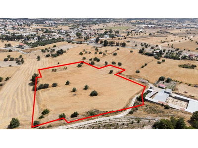 Shared field in Anglisides, Larnaca in Larnaca