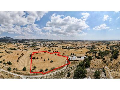 Shared field in Anglisides, Larnaca
