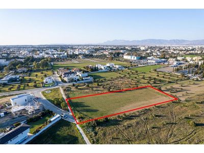 Shared field in Chryseleousa, Strovolos in Nicosia