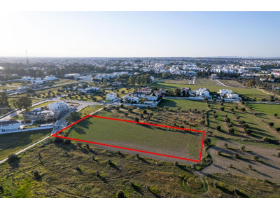 Shared field in Chryseleousa, Strovolos
