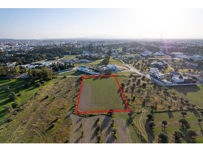 Shared field in Chryseleousa, Strovolos