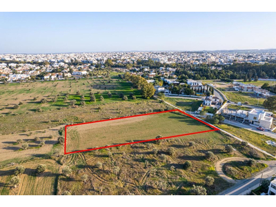 Shared field in Chryseleousa, Strovolos