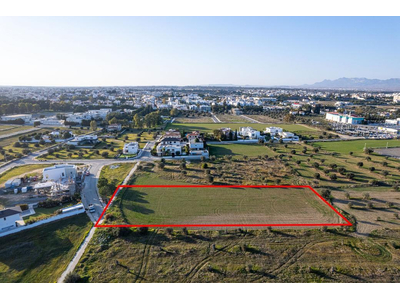 Shared field in Chryseleousa, Strovolos