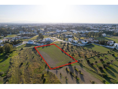 Shared field in Chryseleousa, Strovolos