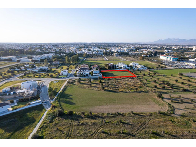 Shared field in Chryseleousa, Strovolos