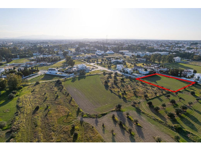 Shared field in Chryseleousa, Strovolos