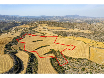 Shared field in Choirokoitia, Larnaca