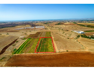 Agricultural field in Peristerona, Nicosia