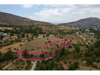 Γεωργικό τεμάχιο, Μιτσερό