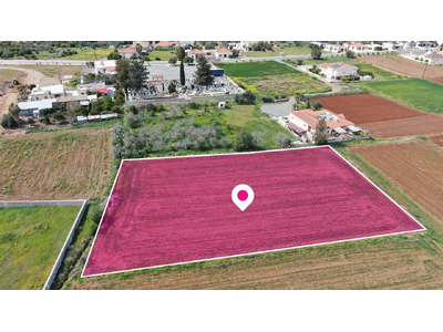 Field in Orounta, Nicosia