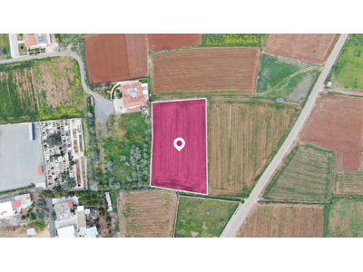 Field in Orounta, Nicosia
