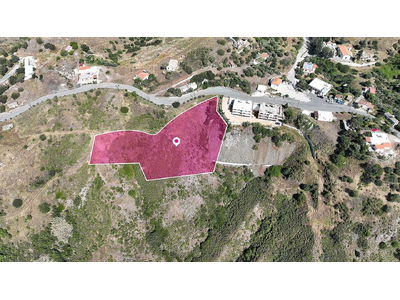 Field in Pigenia, Nicosia