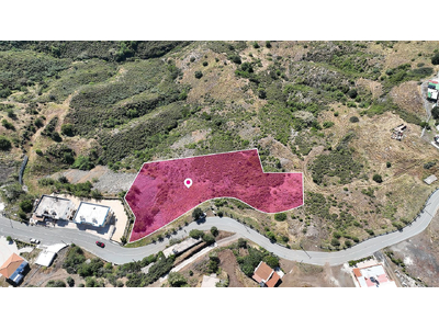 Field in Pigenia, Nicosia