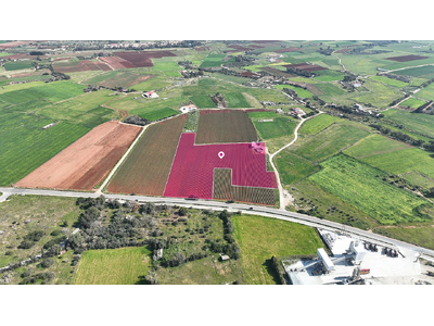 Field in Xylofagou, Larnaca