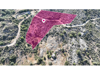 Field in Kato Pyrgos, Nicosia