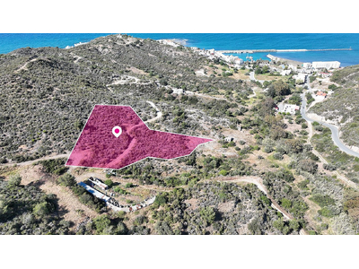 Field in Kato Pyrgos, Nicosia