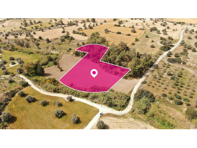 Field in Anglisides, Larnaca