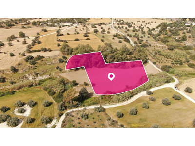 Field in Anglisides, Larnaca