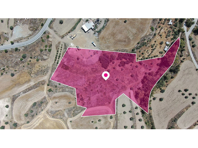 Share of a residential field in Analiontas, Nicosia