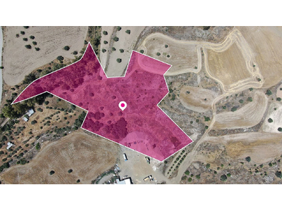 Share of a residential field in Analiontas, Nicosia