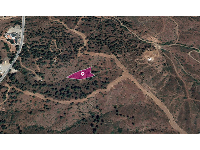 Field in Evrychou, Nicosia in Nicosia