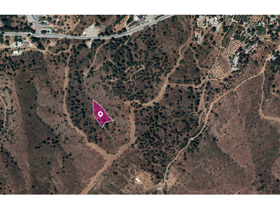 Field in Evrychou, Nicosia