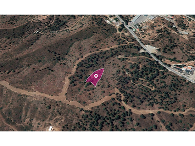 Field in Evrychou, Nicosia