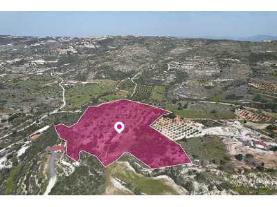 Field in Mesogi, Paphos in Paphos
