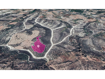 Field in Anglisides, Larnaca in Larnaca