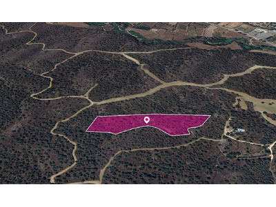 (Share) Agricultural field in Evrychou, Nicosia